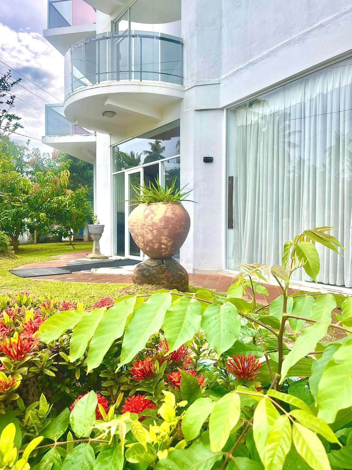 Amaya Beach Hotel Dikwella Eksteriør bilde